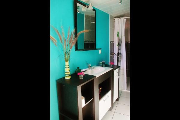 Photo n° 17 de la location