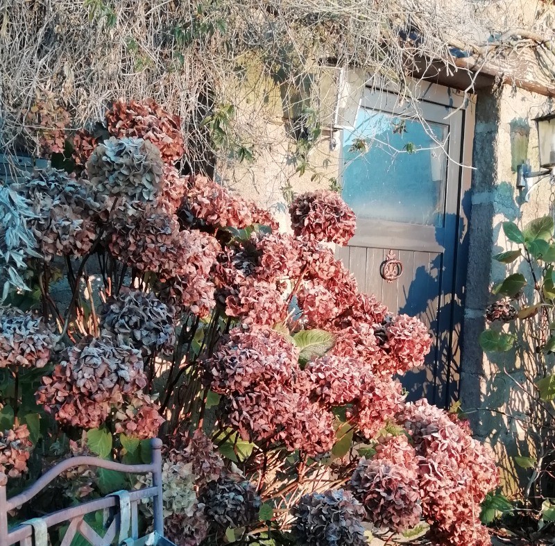 Photo n° 17 de la location