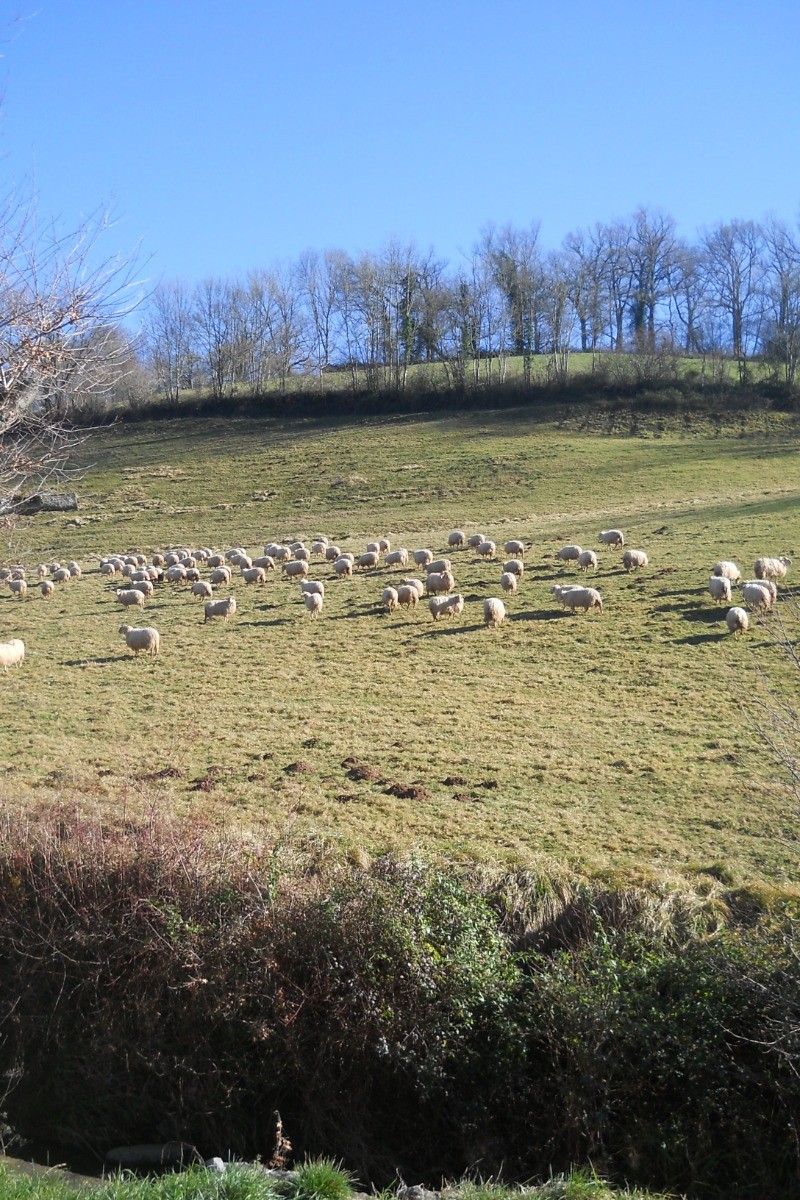 VUE EXTERIEURE