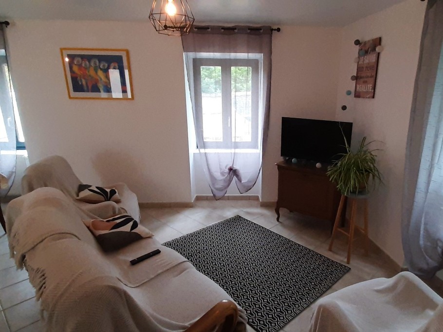 Séjour-salon-salle à manger. TV.