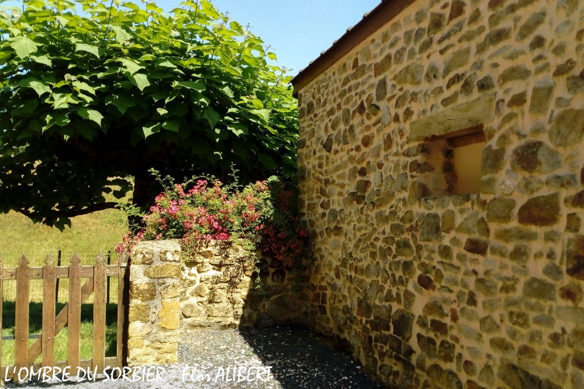Photo n° 19 de la location