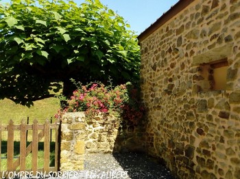Photo n° 19 de la location