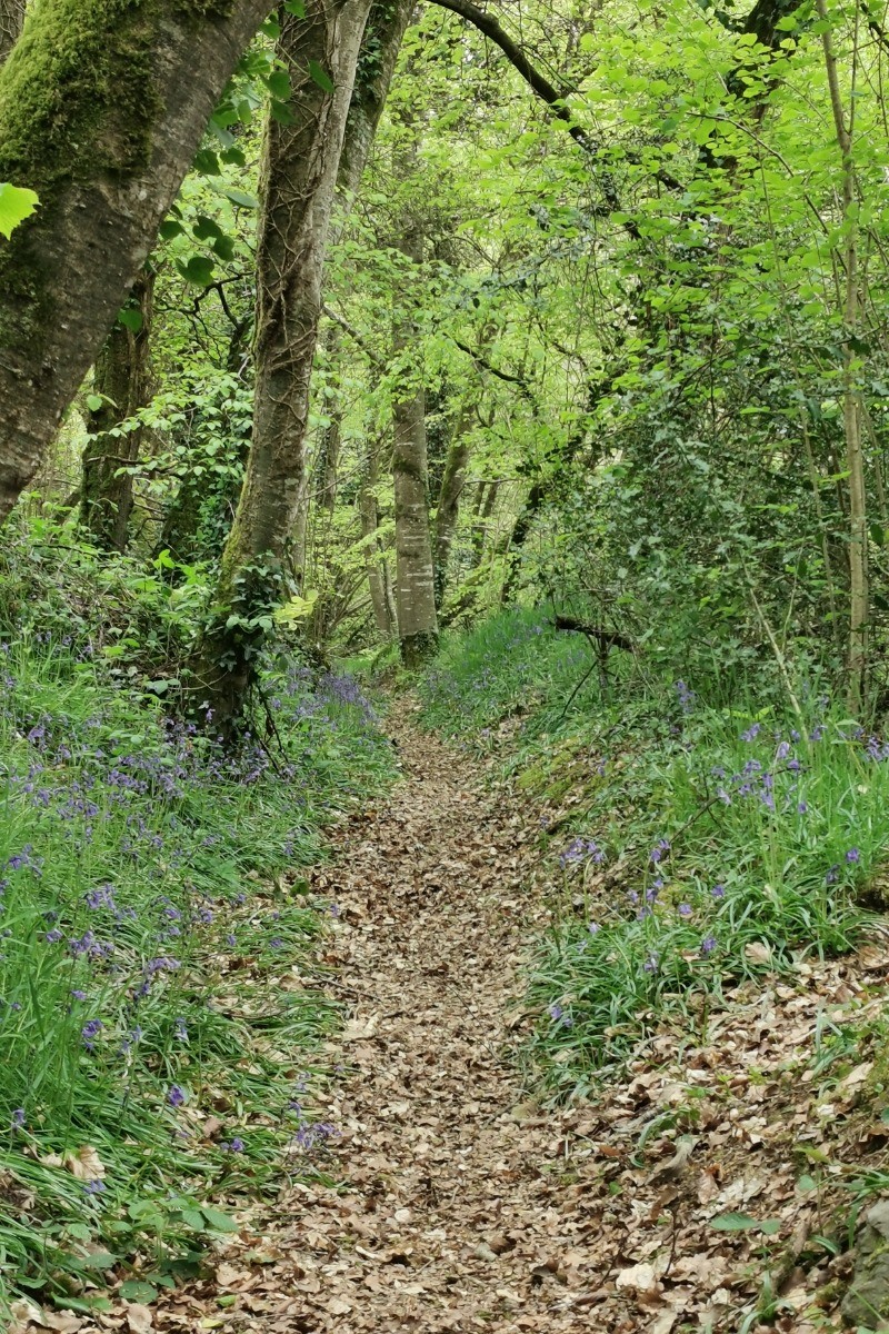 Photo n° 16 of the location