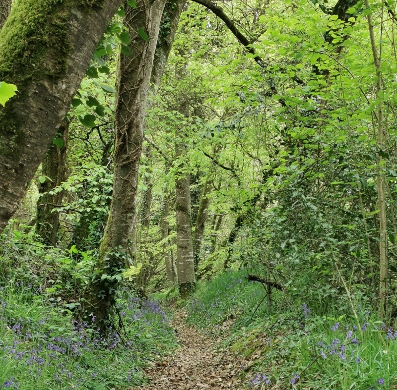 Photo n° 16 of the location