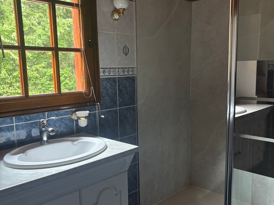 Salle d'eau avec grande douche italienne