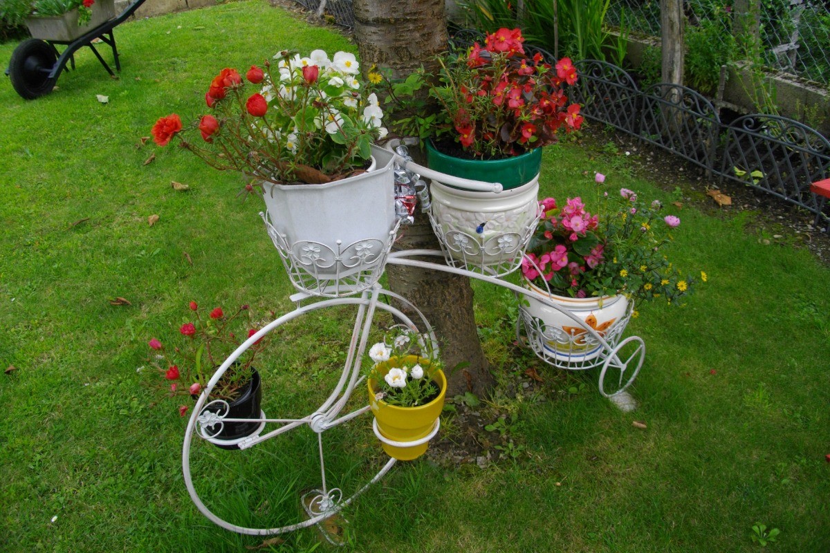 Jardin clos et fleuri