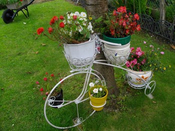 Jardin clos et fleuri