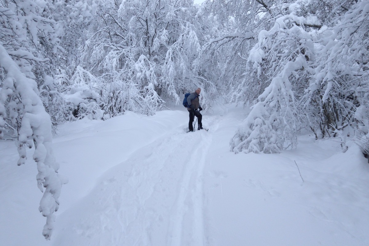 Gite d'Appolline paysage de neige