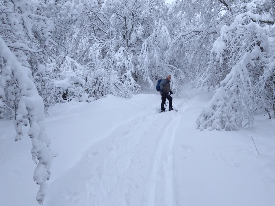 Gite d'Appolline paysage de neige