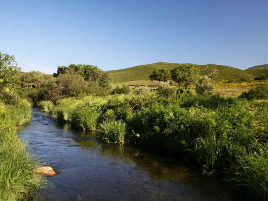 La rivière au bout de la propriété