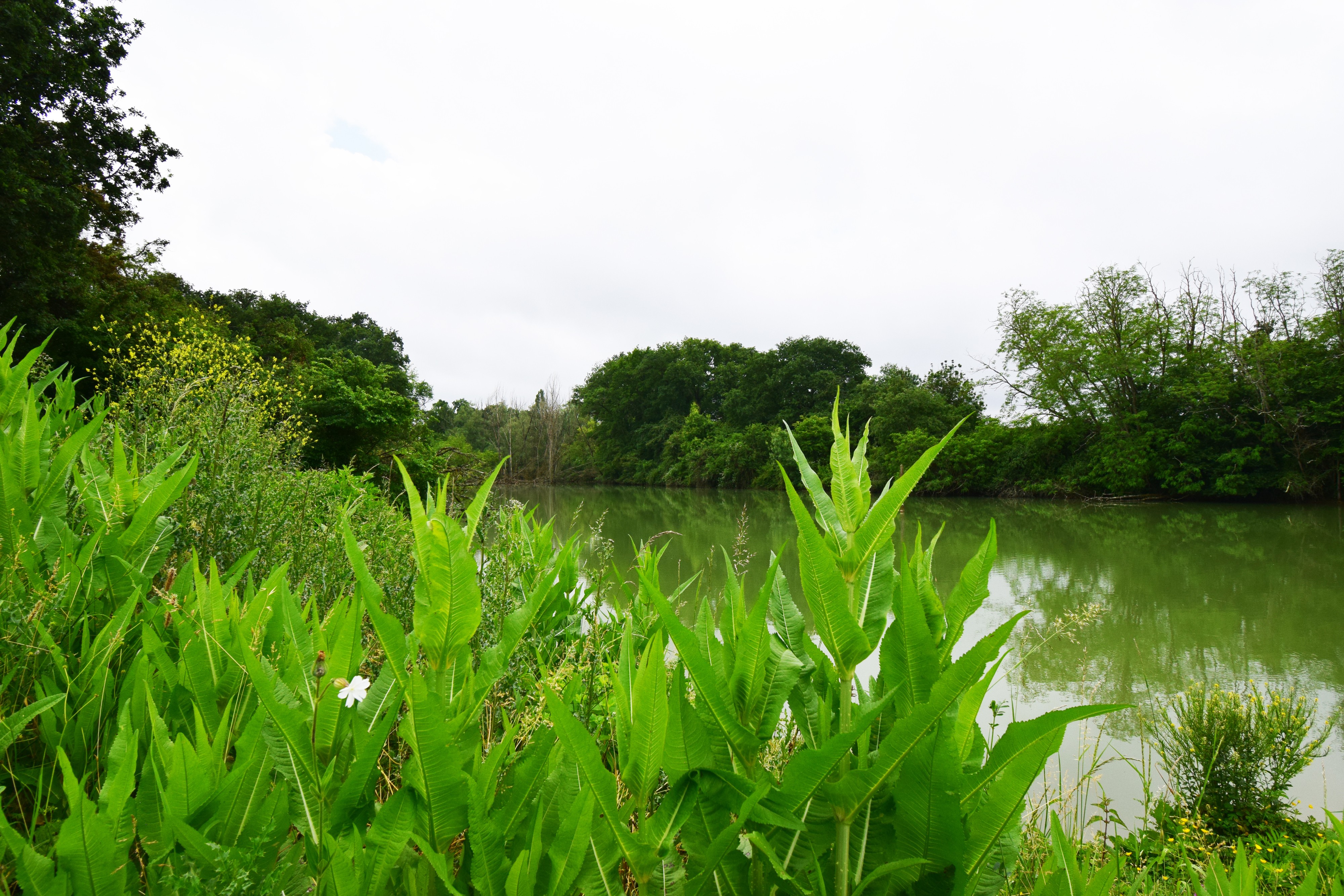 Lac privé du gîte
