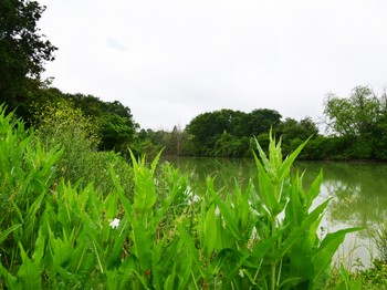 Lac privé du gîte