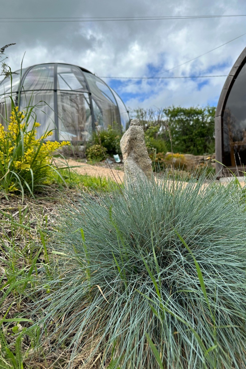 Photo n° 20 of the location