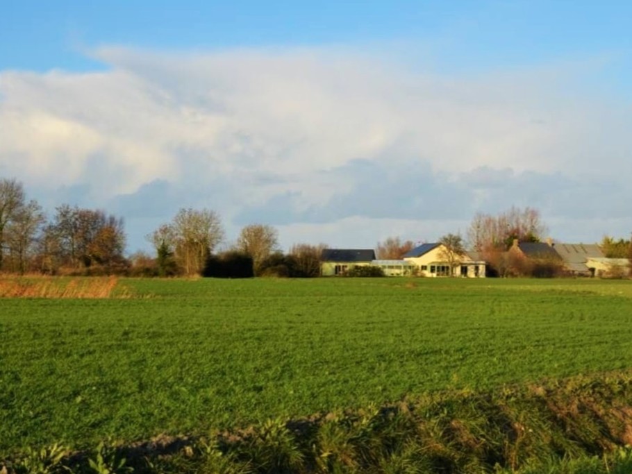 Les Bois de la Baie vue depuis la campagne