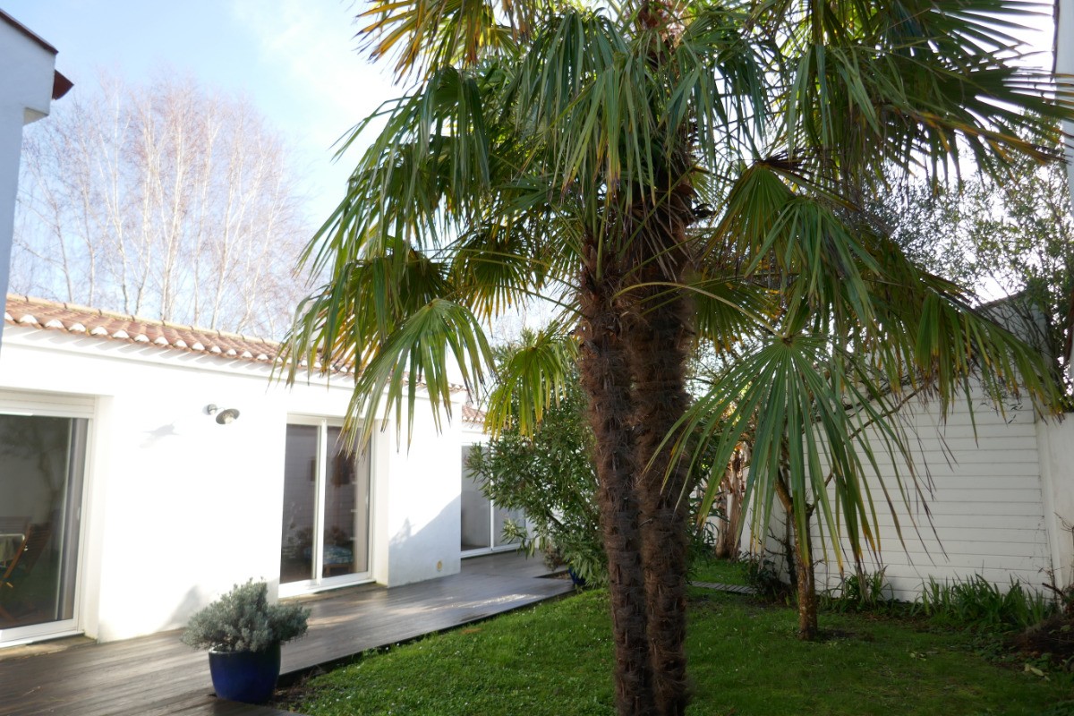 Terrasse à l'arrière de la maison