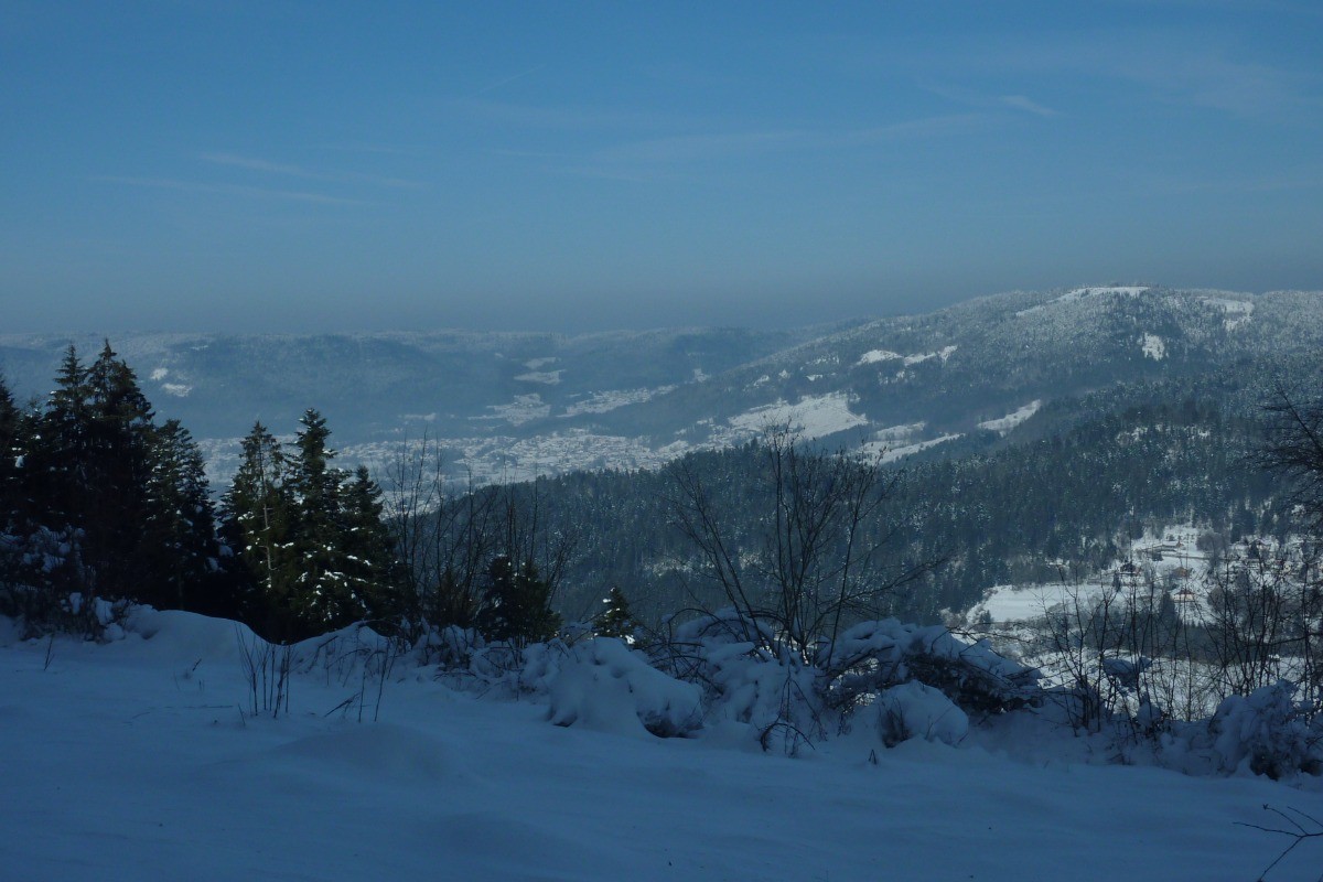 Vue depuis le logement - Situation idéale, en plein cœur du Parc des Ballons des Vosges