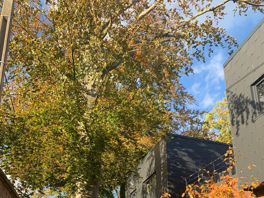 Photo n° 2 of the location