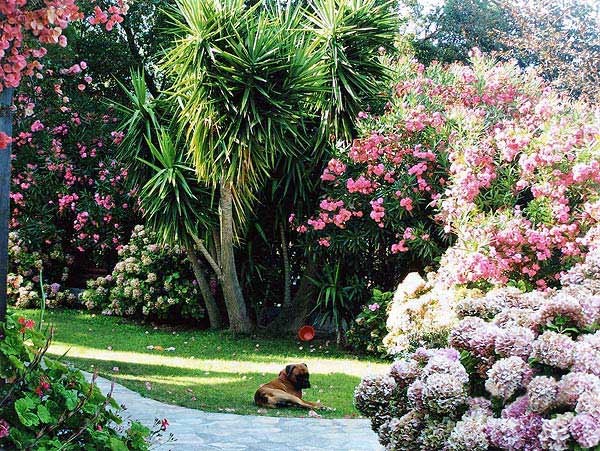 Photo n° 9 de la location