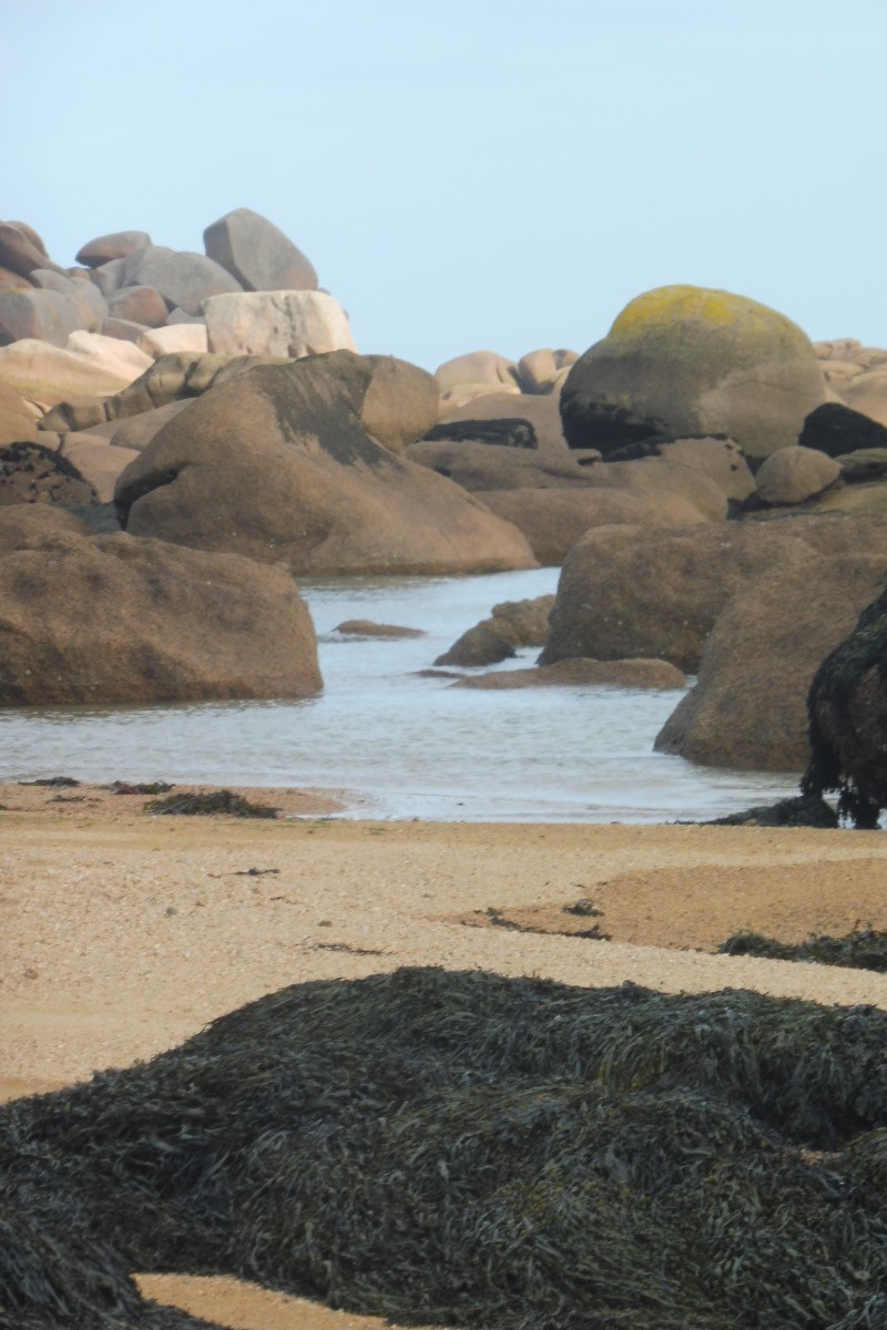Photo n° 15 de la location