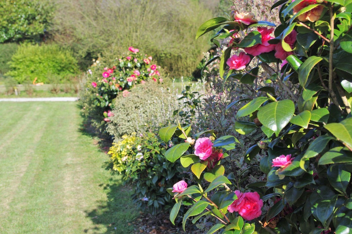 Jardin