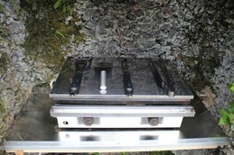 Maison du tilleul : Plancha