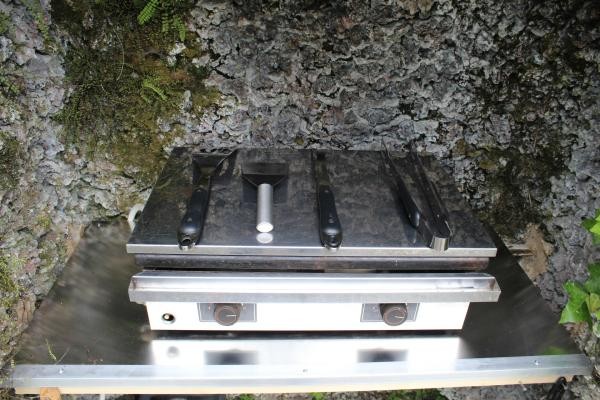 Maison du tilleul : Plancha