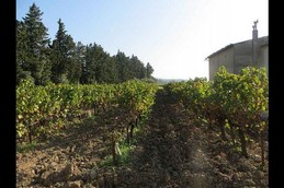 Image n° 4 de la location