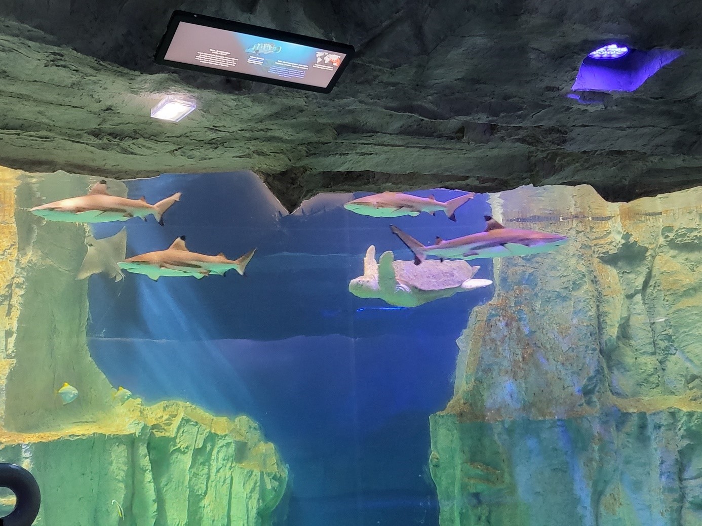Grand Aquarium de Saint-Malo
