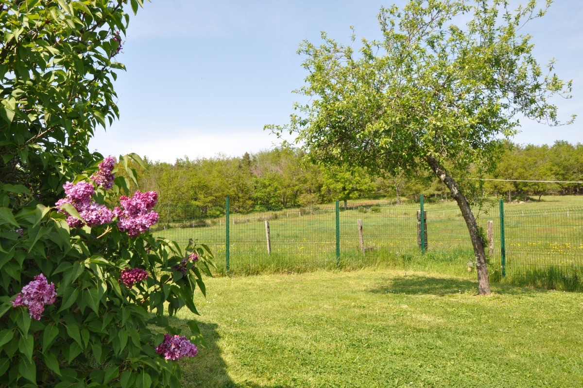 Photo n° 18 of the location