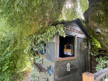 La cabane dans le saule.