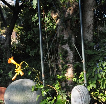 Photo n° 13 of the location