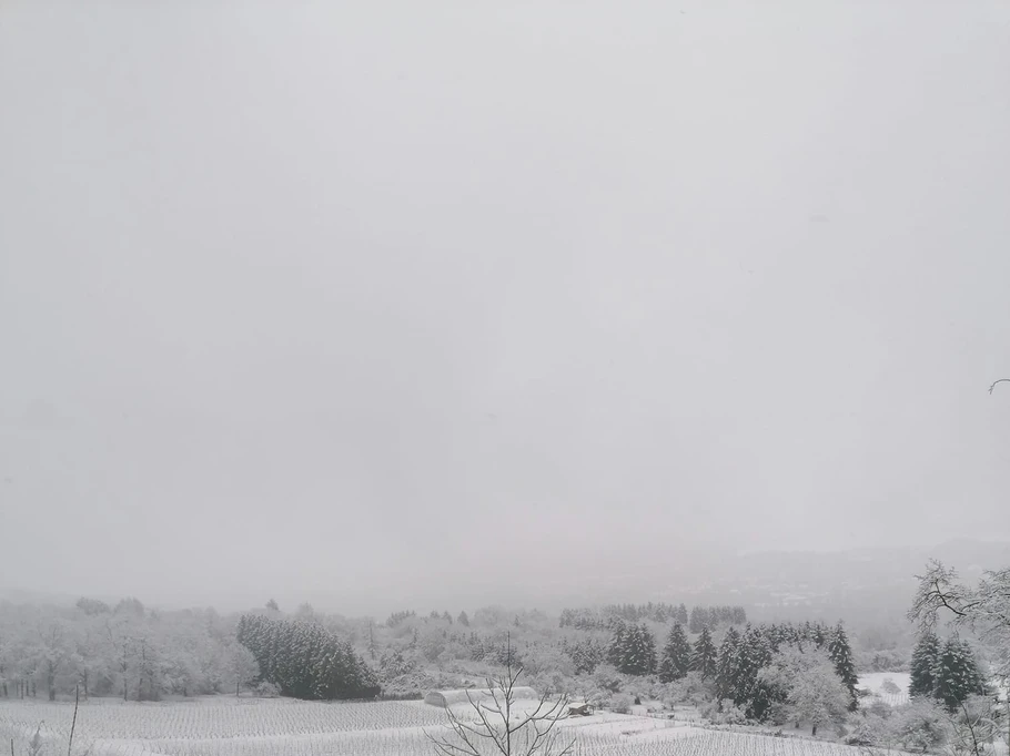 Photo n° 11 of the location