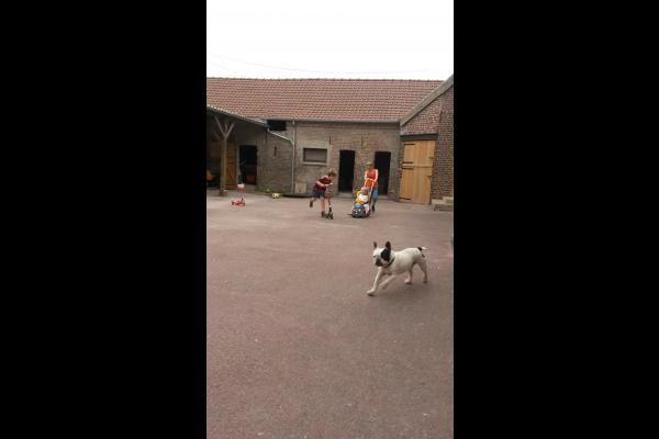 Cour fermée à l'avant de la maison