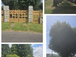 Image n° 4 de la location