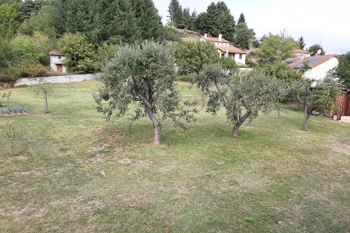 Photo n° 15 de la location