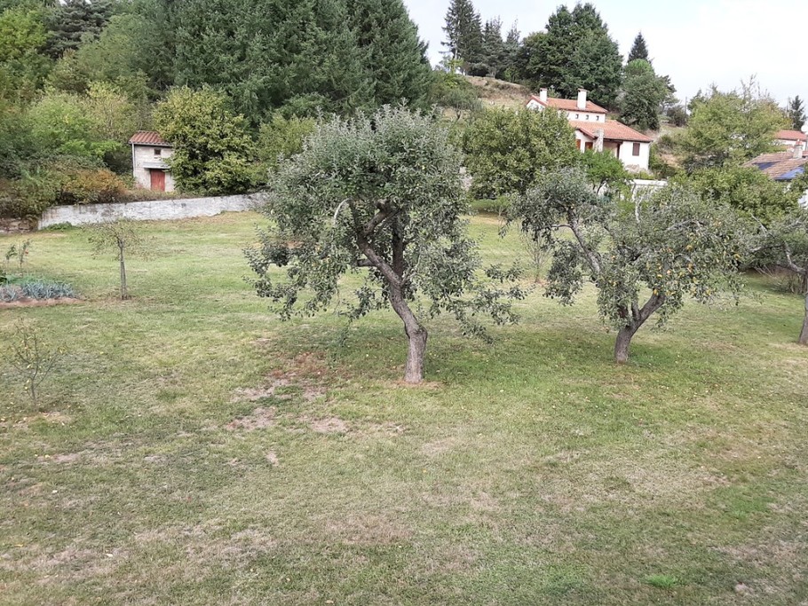 Photo n° 15 de la location