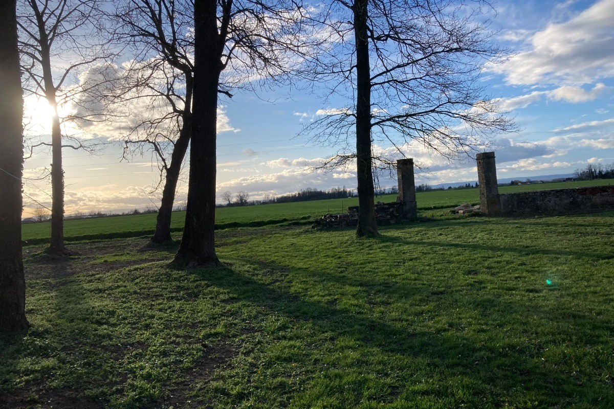 Photo n° 11 de la location