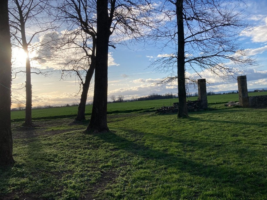 Photo n° 11 de la location