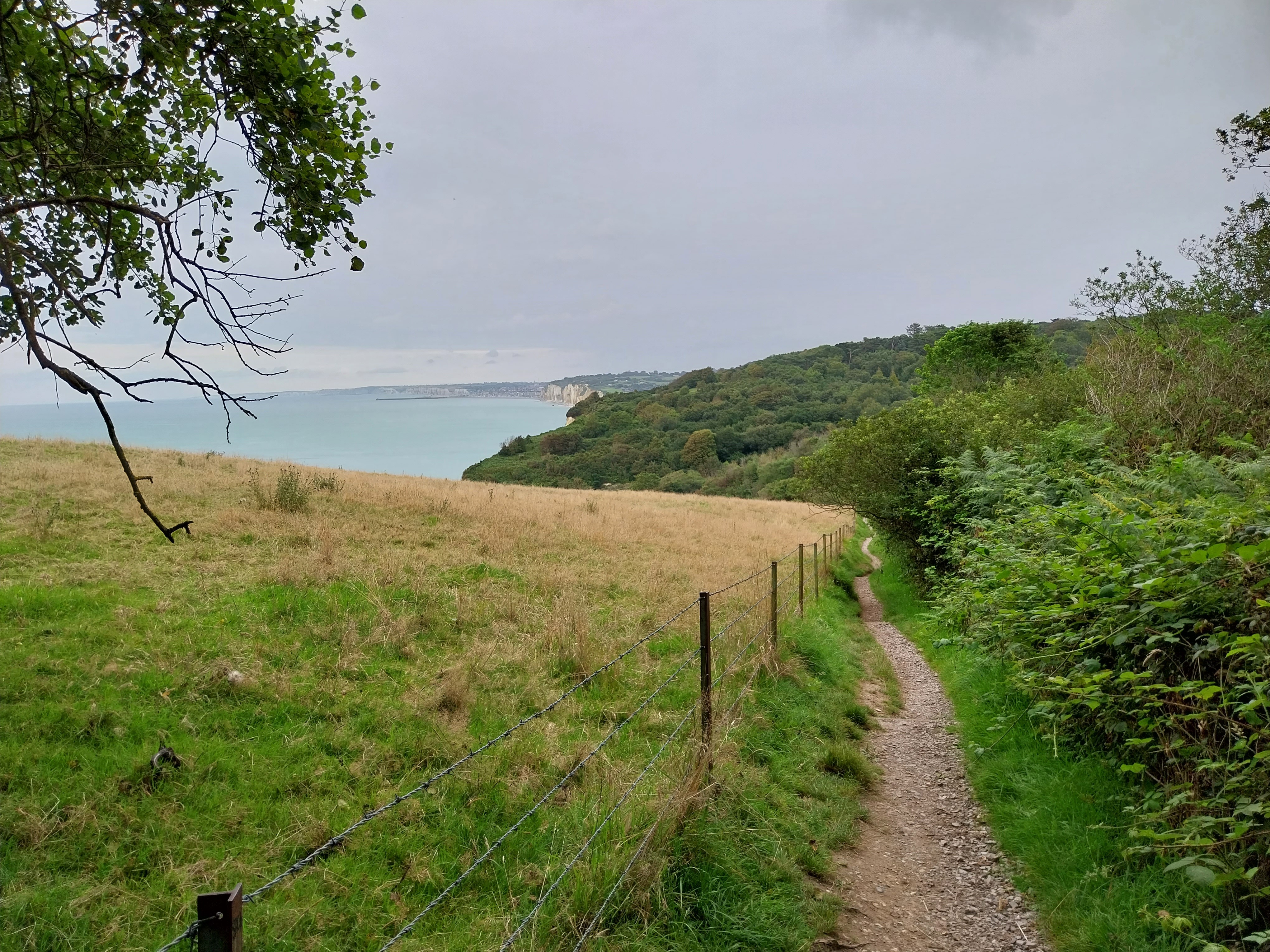 Location Gite Normandie- Le Clos de Varengeville sur Mer- location plain-pied proche Dieppe, Veules les Roses