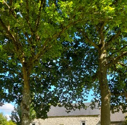 Maison, location Clévacances Bourbriac (Côtes d'Armor, Bretagne) - -A l'ombre des chênes