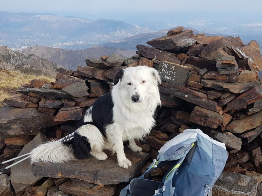 Photo n° 13 de la location