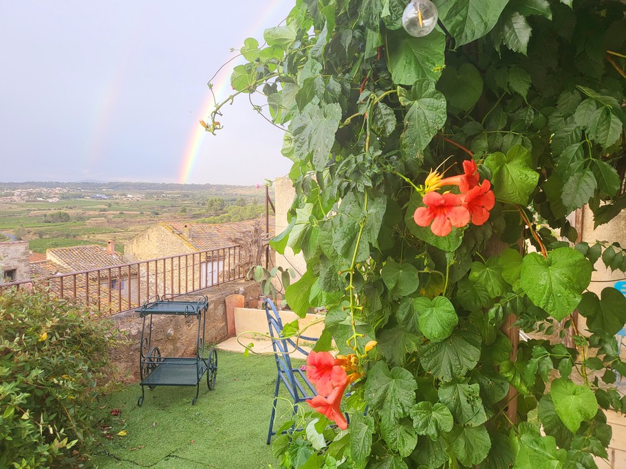 Photo n° 6 de la location