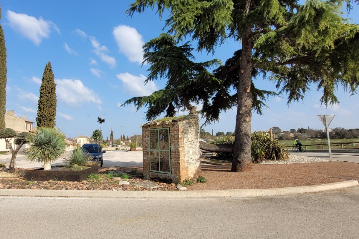 place du village le grand cèdre et le puits