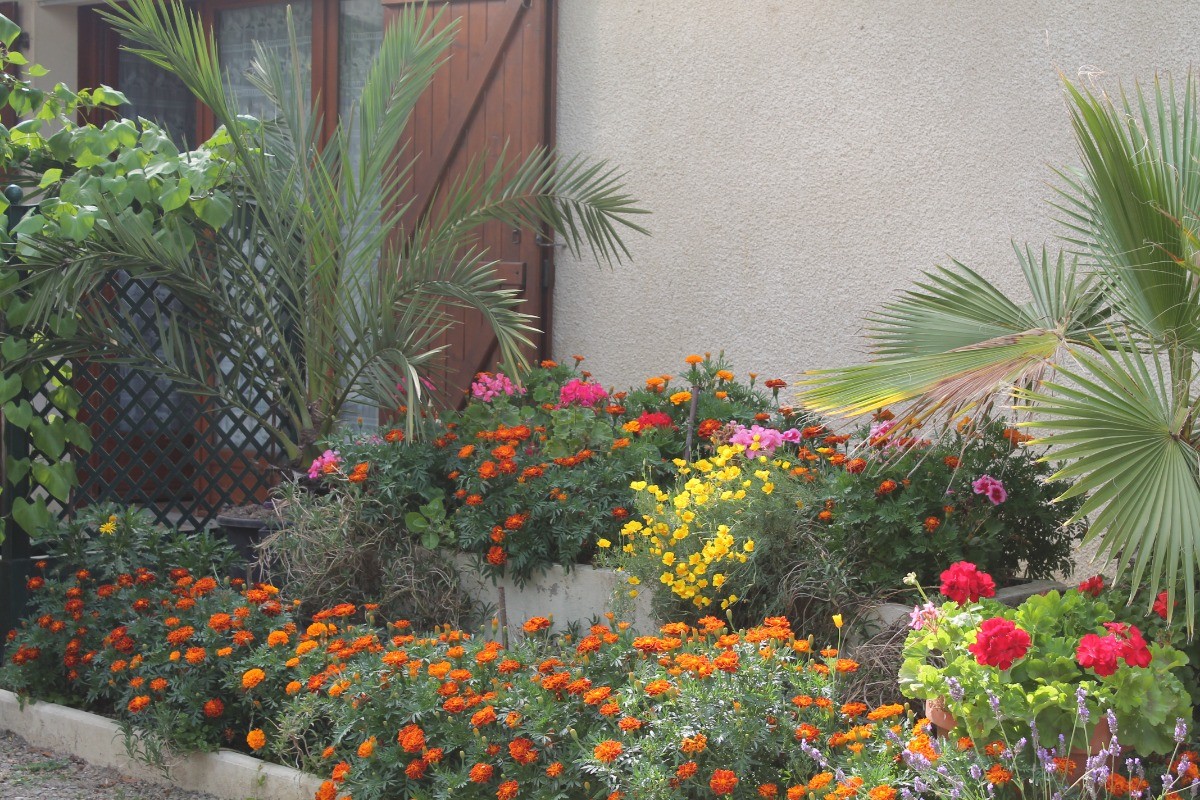 terrasse fleurie