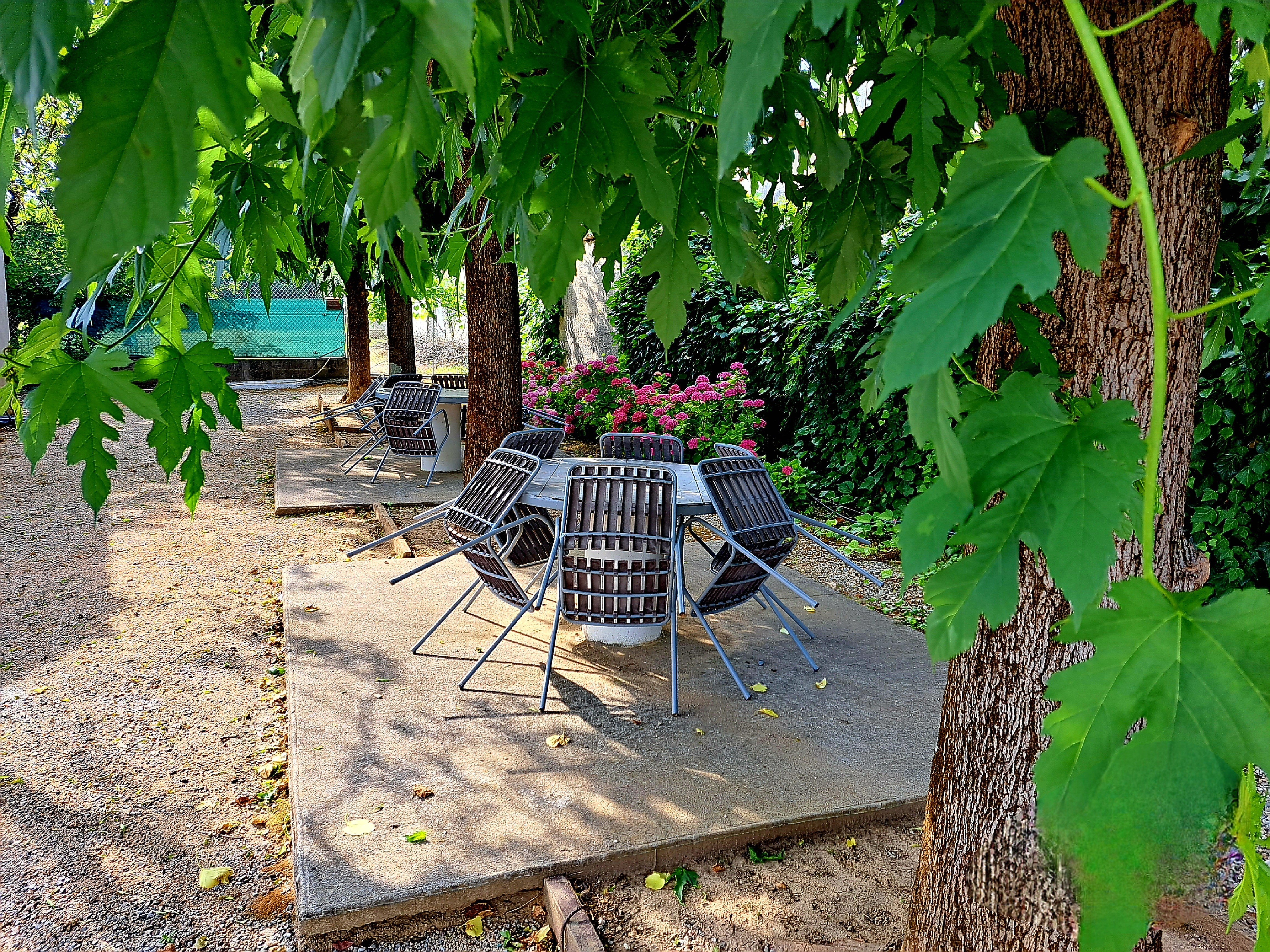 salon ombragé