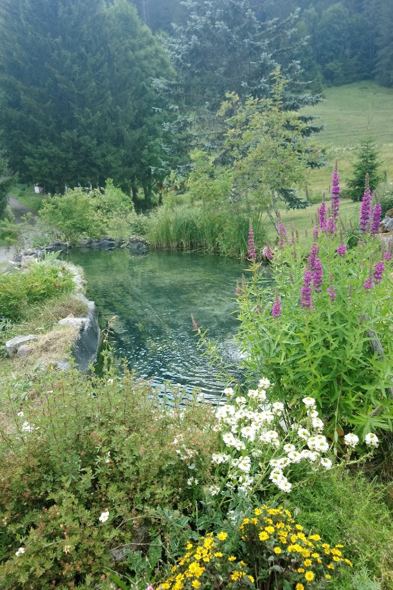 Bassin sur la propriété (Pas de baignade possible)