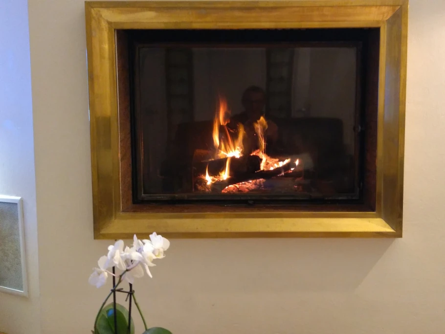 flambée dans l'insert de la cheminée