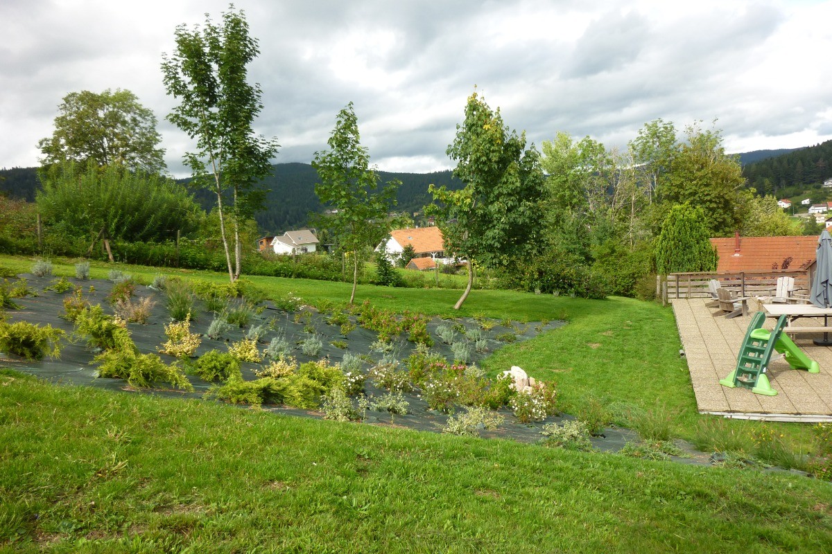 jardin coté terrasse