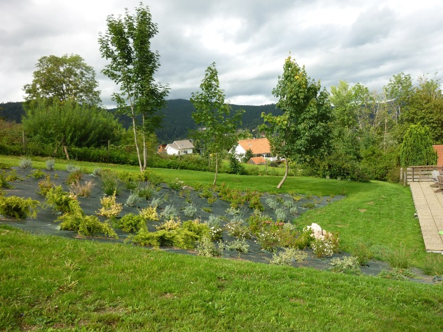 jardin coté terrasse