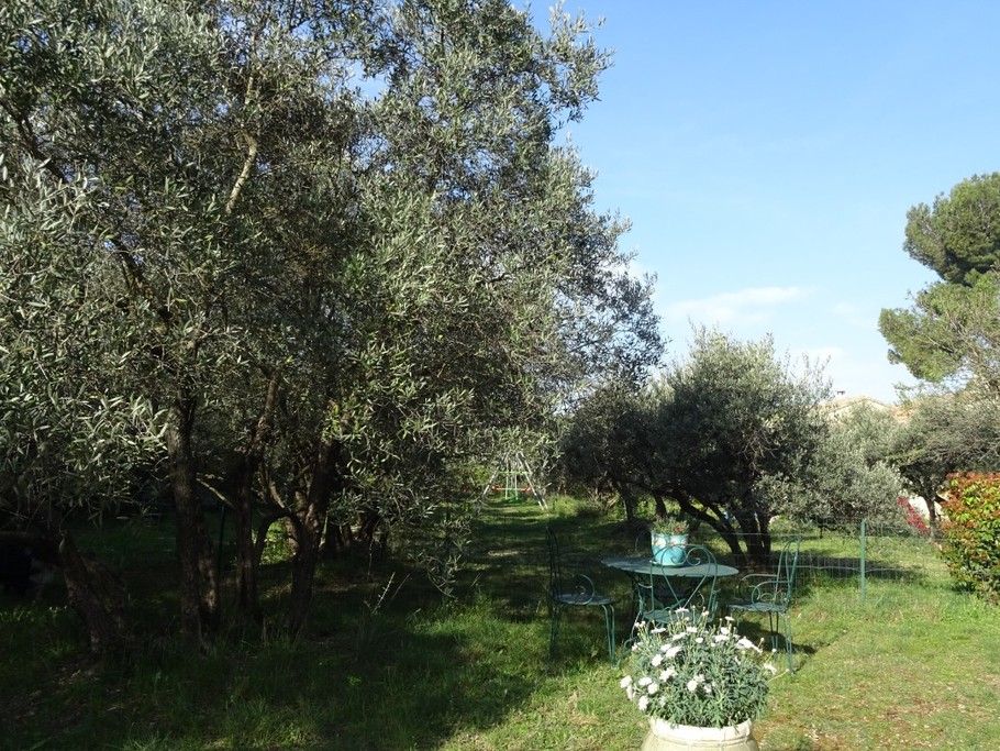 jardin